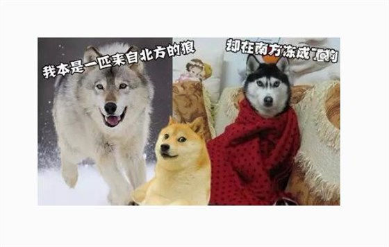 温补晶振让你玩转2018斗图大战